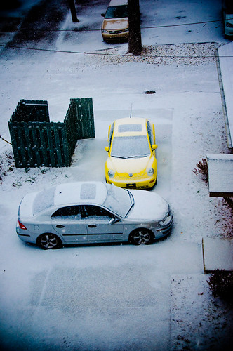 In memory of winter