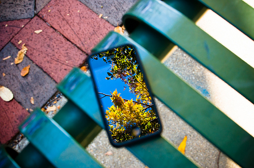Fall in iPhone