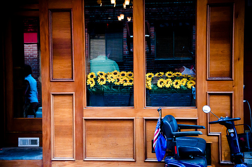 Window of Sunflowers