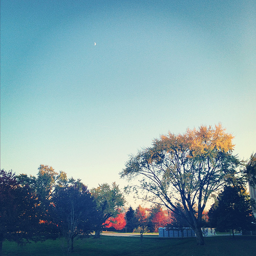 My Moonrise Kingdom